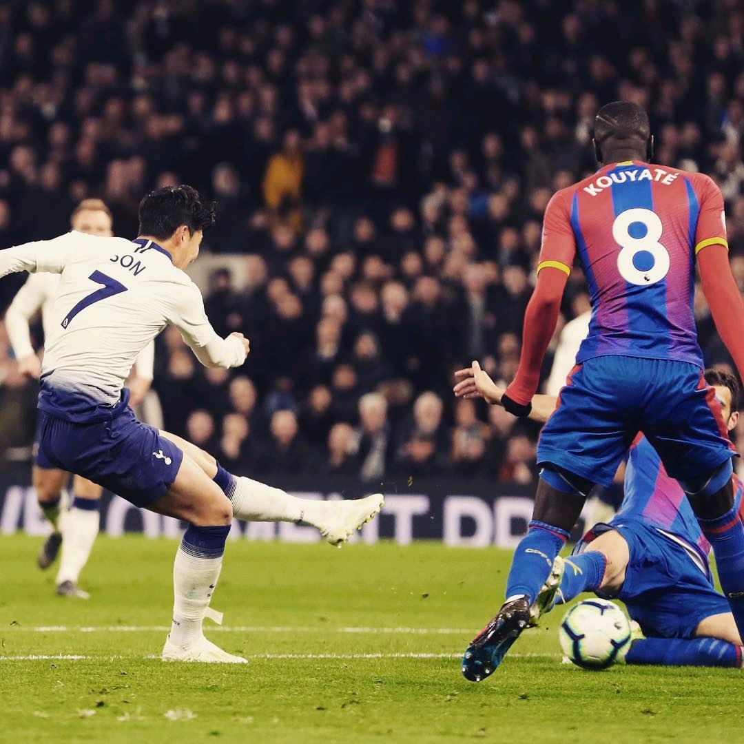 他的到来 他的到来